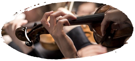 Violinista Milano