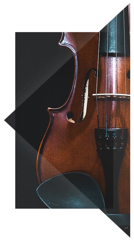 Violinista Milano